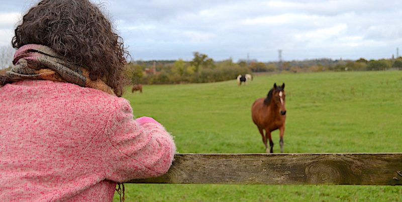 Holly Kal-Weiss gazes across Harts Farm, Bushey which could be lost forever